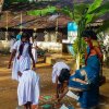 තෛපොංගල් උත්සවය 2019